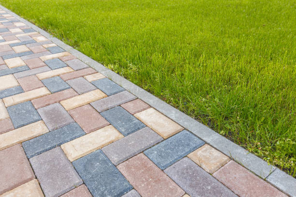 Best Professional Driveway Pavers  in Cotulla, TX